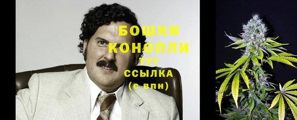 мдпв Тында
