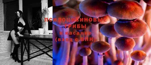 мдпв Тында