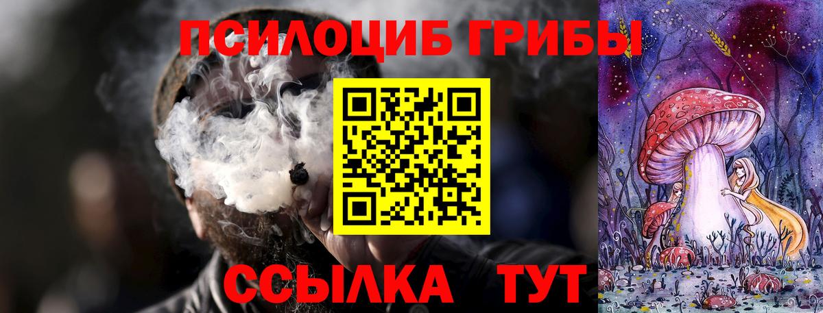 Псилоцибиновые грибы мухоморы Серпухов